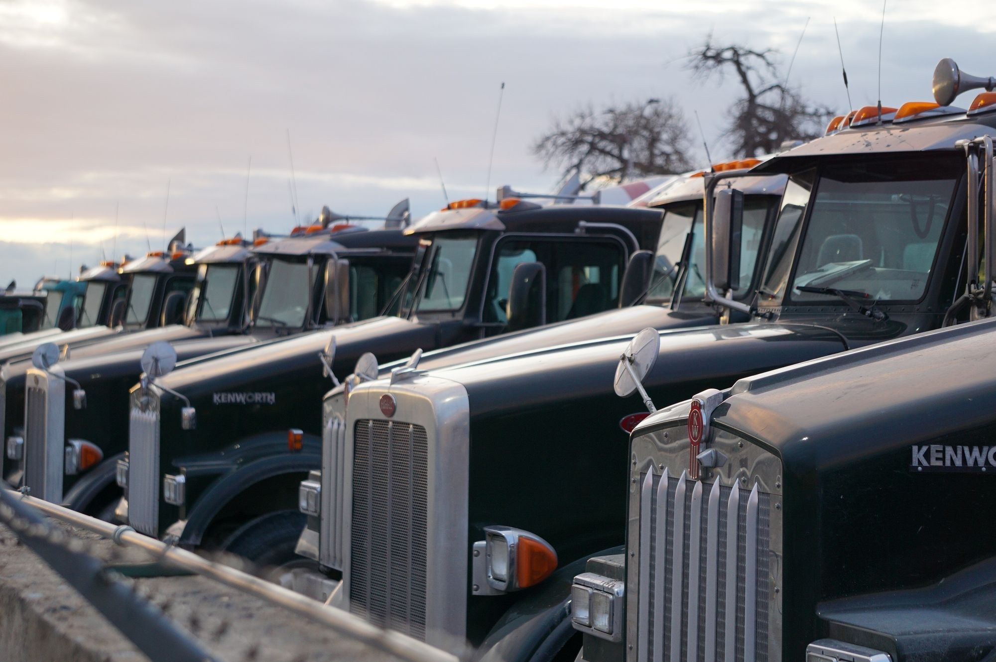 Row of conventional American semi truck cabs parked outdoors